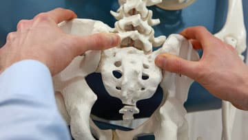 Doctor Showing Skelelton And Explaining How To Increase Joint Mobility